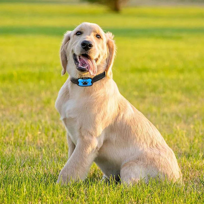 Rechargeable Waterproof Dog Bark Stopper