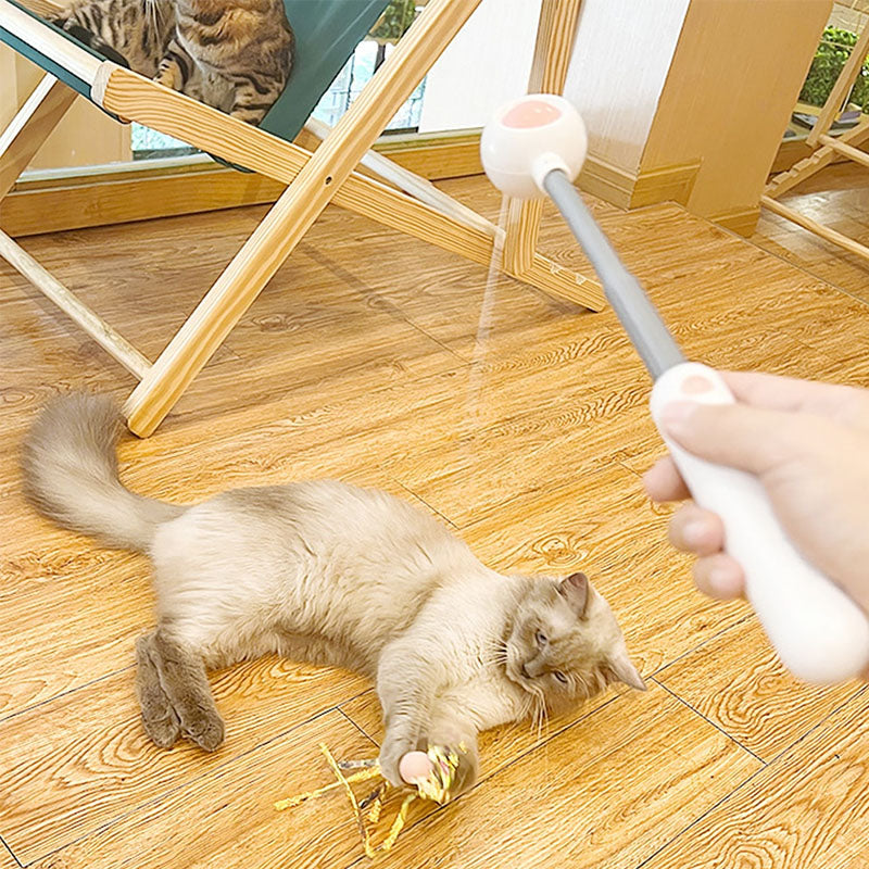 Pet Telescopic Laser Teasing Stick