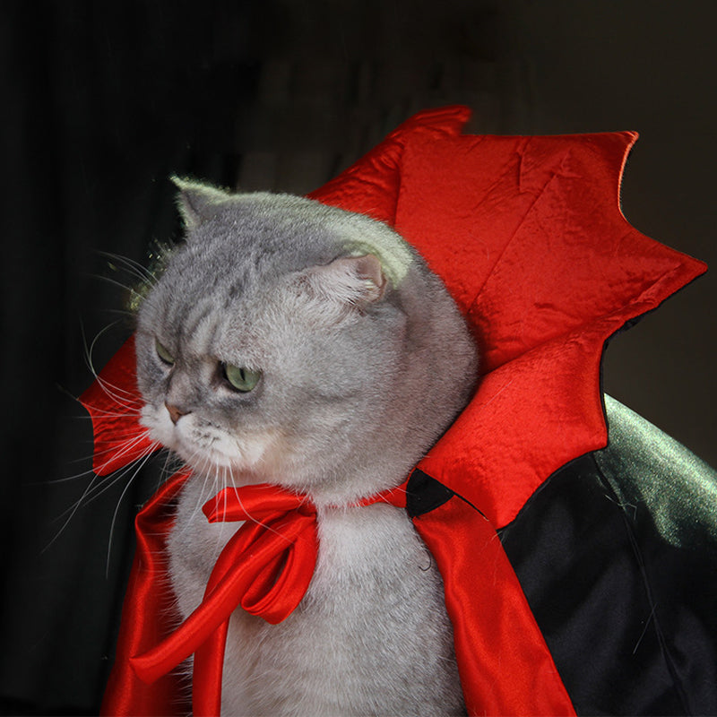 Halloween Dracula Pet Costume