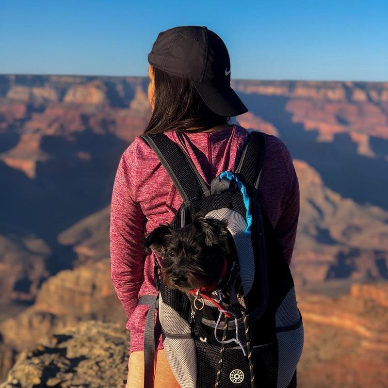 Backpack For Dogs / Cats