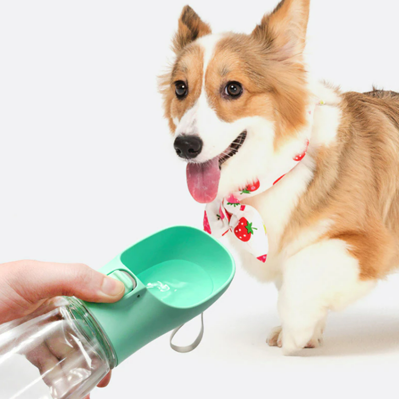 4 in 1 Multifunctional Dog Bottle