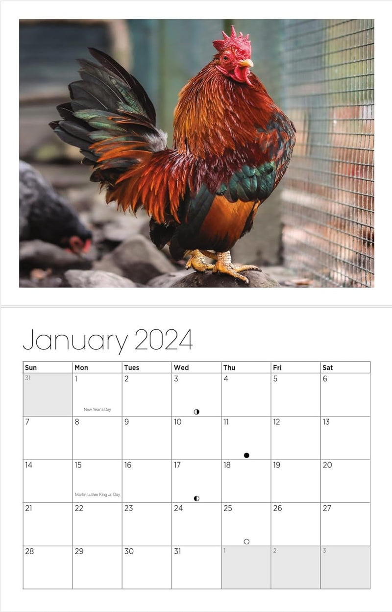 Big Cocks 2024 Wall Calendar - A Classy Collection of Rooster Photos