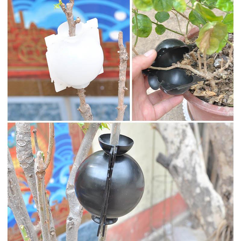 Air Layering Plant Propagator Pod--5 pcs