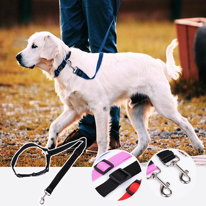 🐾Adjustable Car Dog Leash