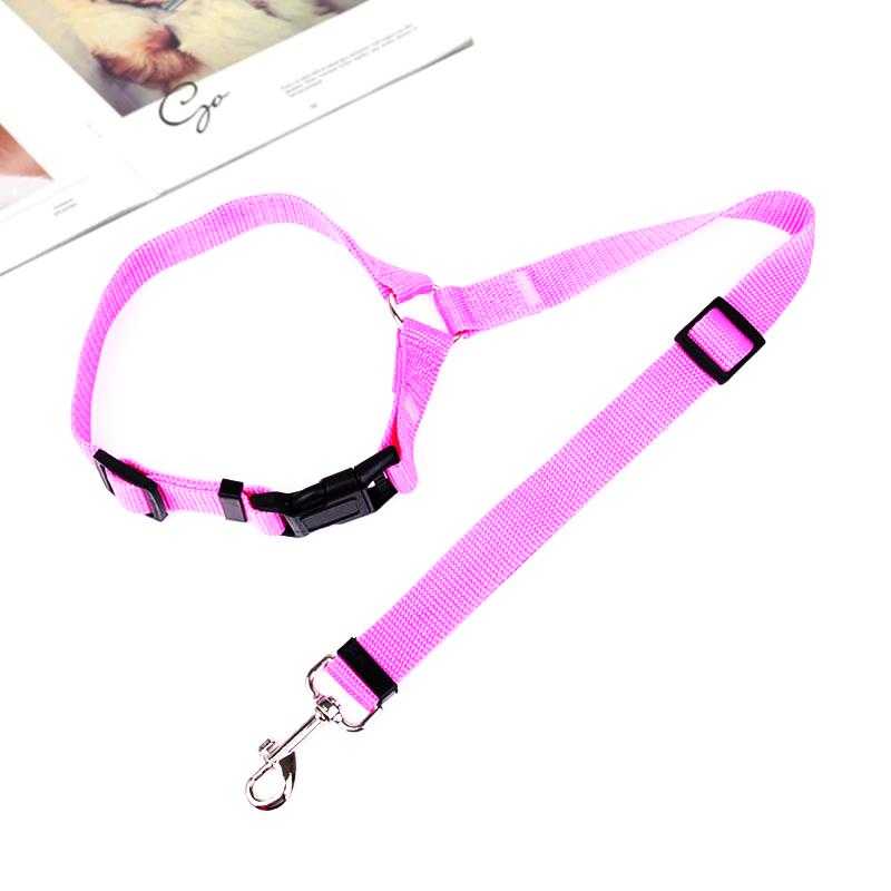 🐾Adjustable Car Dog Leash