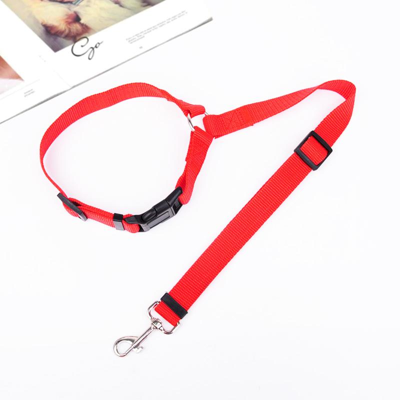 🐾Adjustable Car Dog Leash