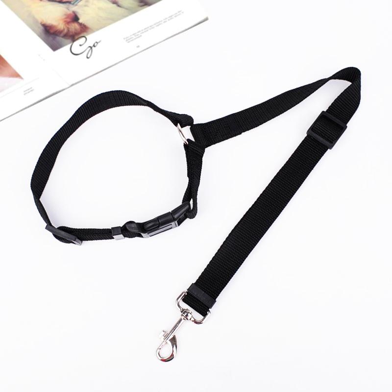 🐾Adjustable Car Dog Leash