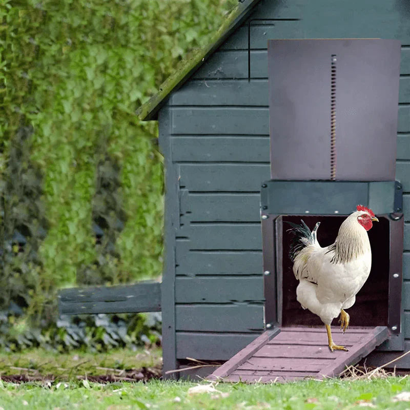 Poultry Farm Automatic Chicken House Door