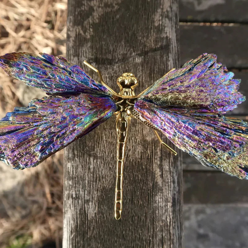 AURA TOURMALINE KYANITE DRAGONFLY