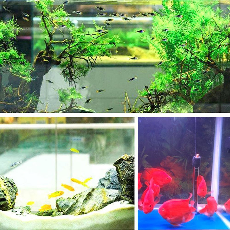 Eco-Aquarium Water Purifier Cube