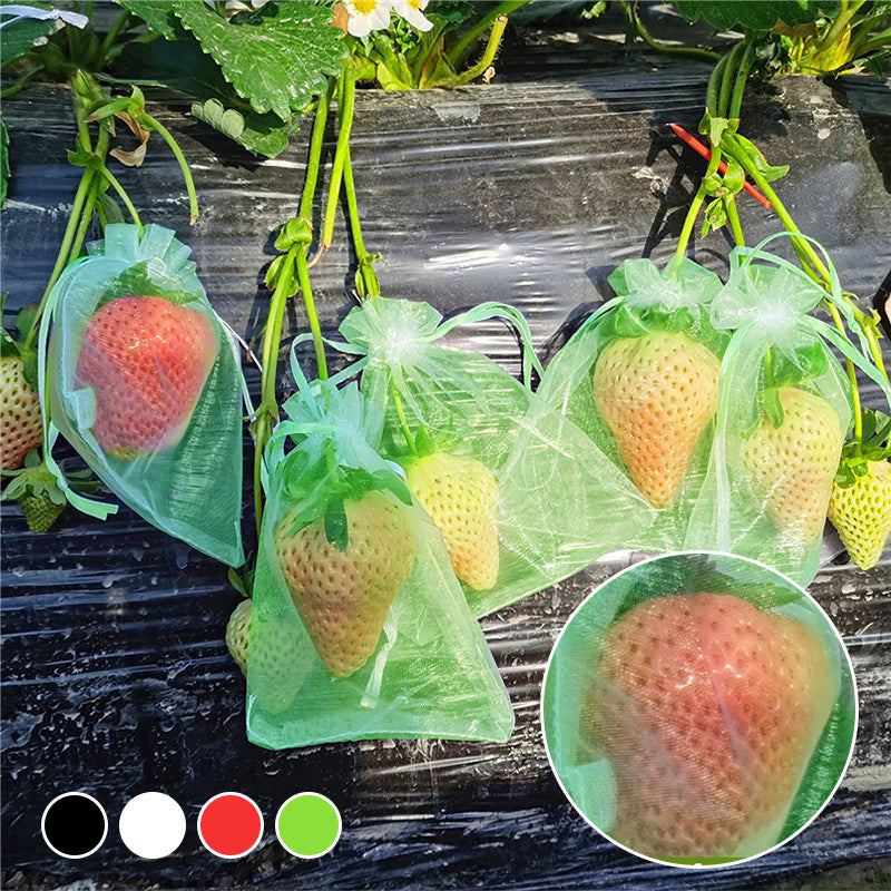 Fruit Protection Bag(100 PCS)