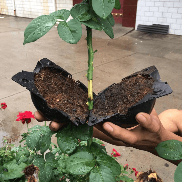 Air Layering Plant Propagator Pod--5 pcs