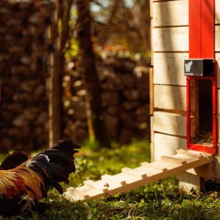 Poultry Farm Automatic Chicken House Door